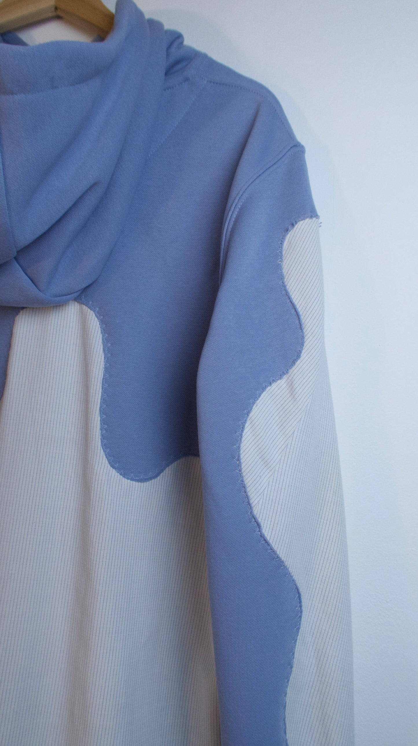 Layered Luxe: Hoodie and Shirt Combined
